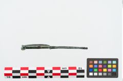 Foto von Bronzekahnfibel (NHMW-PRAE-024960)